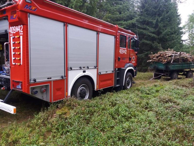 Tragiczny wypadek w lesie pod Tychowem - mężczyzna poniósł śmierć na miejscu. 