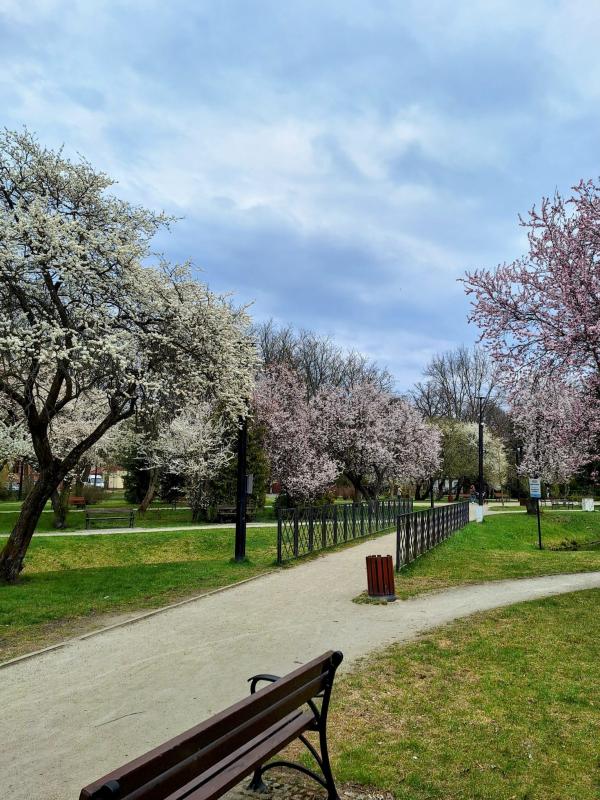Zielony Białogard zaprasza na weekendowe spacery