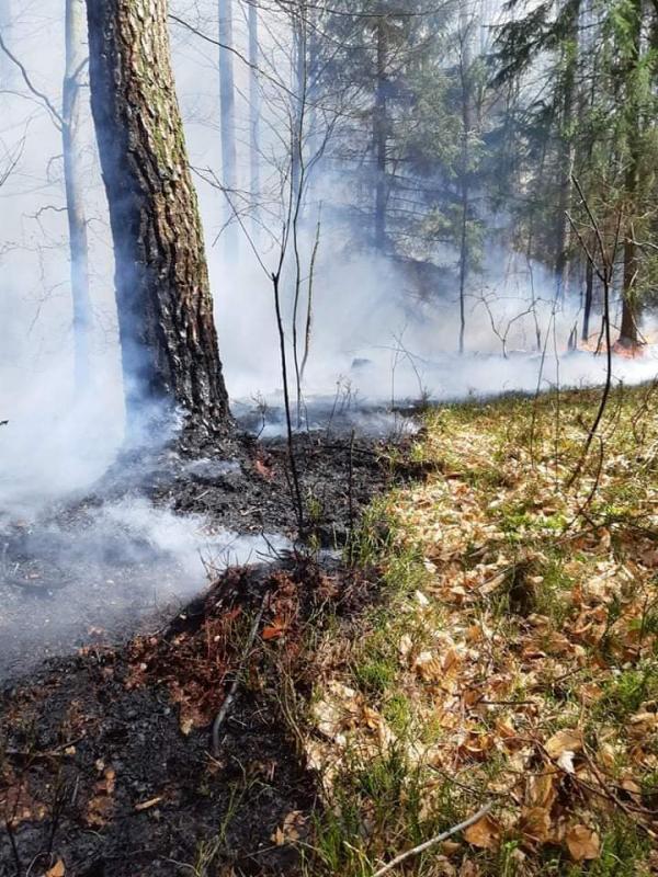 Seria ogromnych pożarów w powiecie białogardzkim  - dziesiątki strażaków walczy z żywiołem!  