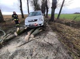 Powalone drzewa, uszkodzone samochody po porannej wichurze